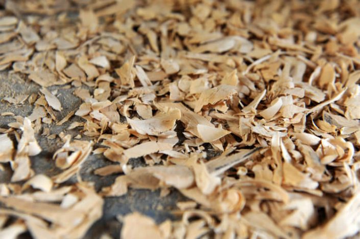 ראשית כללית ראשונה