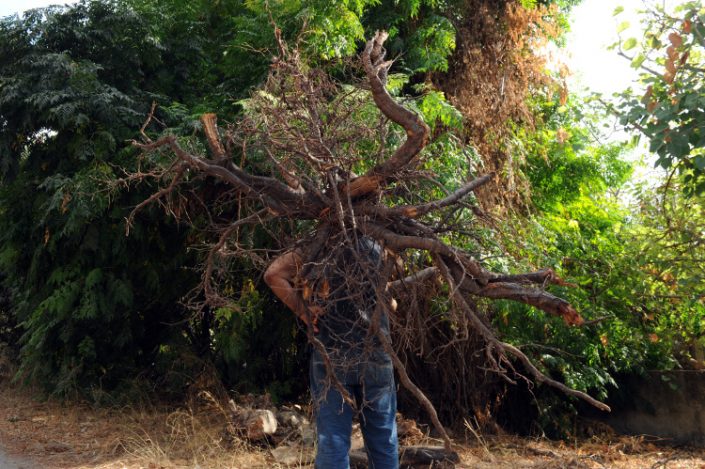 ראשית כללית שלישית