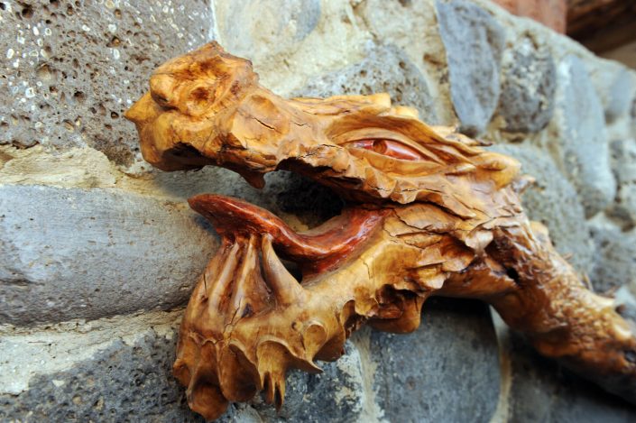 הדרקון הראשון שלי