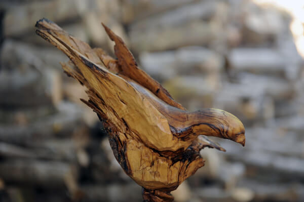 ועוד ציפור מעץ זית