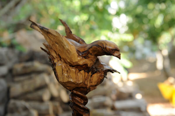 עוד ציפור מעץ זית